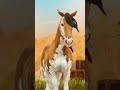 Sso Starstable Starstableonline Horse Horsegame Onlinegame Gaming