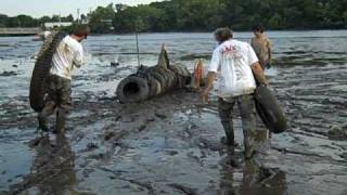preview picture of video 'Pulling tires from the Back River Flats - Essex, Maryland'