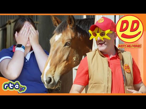 BRAND NEW: Dizzy Deliveries | 🐴 Helping the HORSES With Joe!🐴 | @RTÉKIDSjr