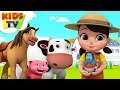 Old Macdonald Had A Farm Boom Buddies Cartoons Videos For Children Kids TV