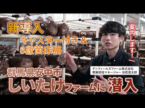【コンテナ×しいたけ】群馬ファームを案内します！
