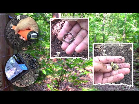 silver and gold gold hunting with metal detector Gold nuggets found in jungle gold gem sk