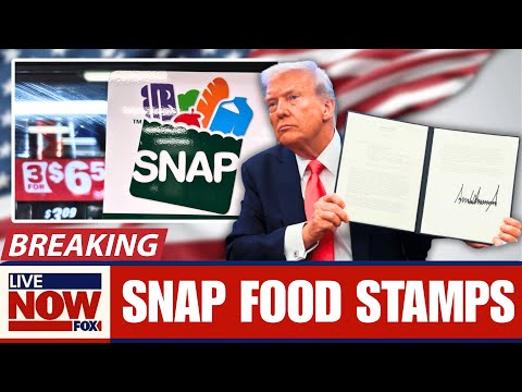 1 Min Ago: FOOD STAMP UPDATE TODAY - SNAP November 2025: How to Get Your Full EBT Benefits Back