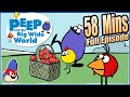 PBS Kids PBS Kids Games Peep And The Big Wide World Games Preschool Shows Episode 05
