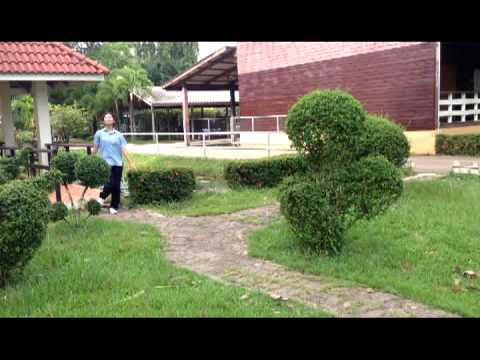 Splash Out : cover by RoseBus