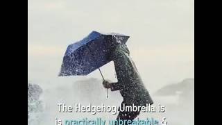 Hedgehog Umbrella (Midnight Blue)