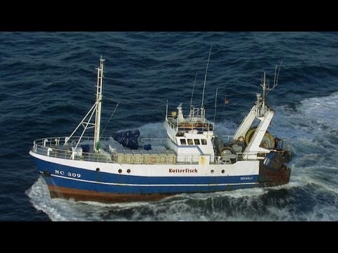 [Doku] Terra Xpress - Faszination Meer mit Dirk Steffens [HD]