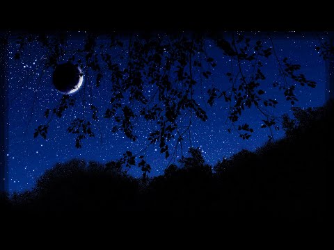 Breezy Autumn Night | Nighttime Ambience | 10 Hours of Wind & Cricket Sounds | Nature Sleep Sounds