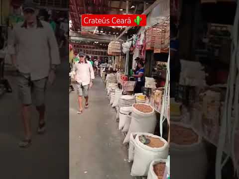 Crateus Ceará ✨️🌵 #curtee #crateús #ceará #sertão