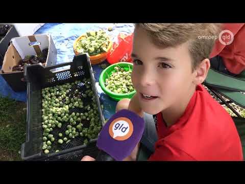 GLD Nieuws 4 september 2018 - Dinsdag 4 september