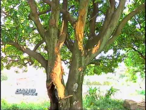 Band Cidade Campinas 04 04 2012 - bloco 01