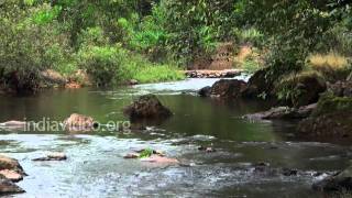 Nature's sound, Wonderful sound of a stream