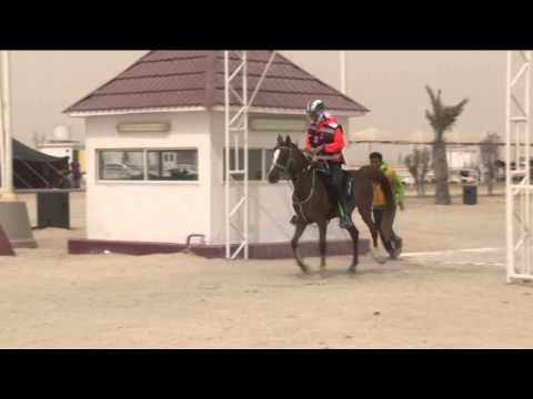 QATAR INTERNATIONAL ENDURANCE RIDE 21/02/2015