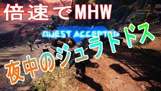 【倍速MHW:実況】＃3 夜中のジュラトドス