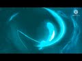 YTPMV 20th Century Fox DreamWorks All Colors Scan