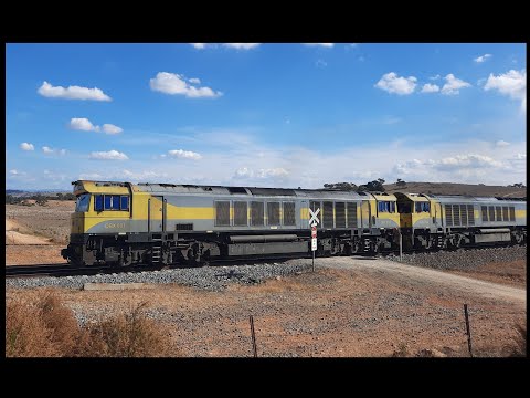 Aurizon and Qube Container trains on the main south April2025