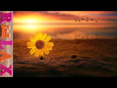 すぐに酔いを覚ます:これが呼吸による効果です