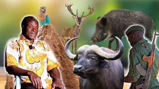 Download lagu Wild Hunter’s Epic Battle: Surviving Mystical Creatures, Witches, and a Buffalo Showdown! mp3