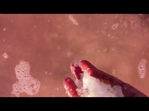 Spain Retreat with Sarbjit Basra