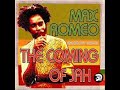 Max Romeo - Fling fire stick