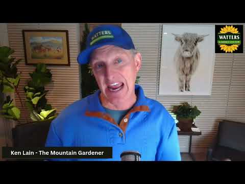 🍎 Unlocking Nature’s Bounty: Grow Perfect Fruit Trees