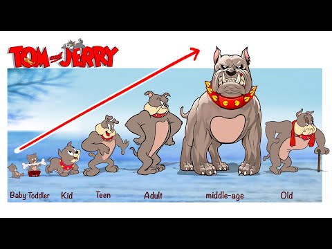 Tom And Jerry Growing Up Full | Fashion Wow