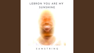 Cover art for shunshine