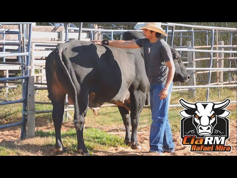 RODEIO EM TOUROS - TREINO NA CIA RAFAEL MIRA (PARTE 02 - TREINO NOTURNO)