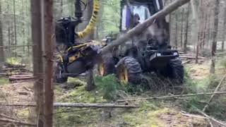 Κεφαλής θεριζοαλωνιστικής μηχανής FMG 730 προς πώληση - Απεικόνιση 4 | Agroline GR Κεφαλή θεριζοαλωνιστικής μηχανής FMG 730 | Απεικόνιση 4 - Agroline