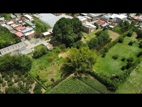 Lote terreno de 8.000m2 en venta en zona urbana de Rozo Palmira Valle del Cauca Colombia