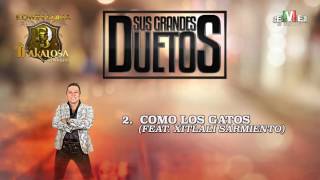 Como los Gatos (feat. Xitlali Sarmiento) - Edwin Luna y La Trakalosa de Monterrey (Audio Oficial)