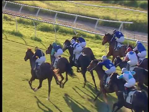 Galoppo 01/06/2018 - 6ª corsa