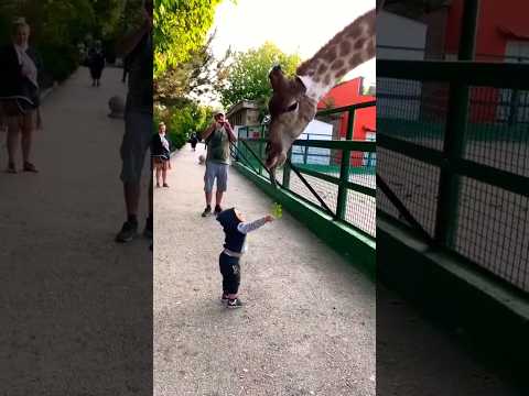 FNAF Animatronic vs Extreme Deathrun - Animal Revolt Battle Simulator#shorts #animal @MrBeast #kid