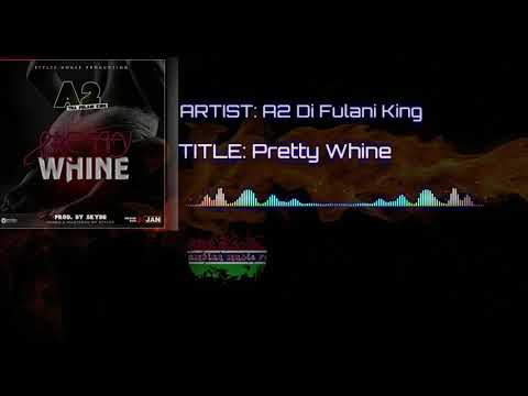 A2 DI FULANI  - Pretty Whine (Official audio ) gambian music 2018