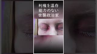 なぜ衆愚政治は生まれるのか──ポエムしか語らない人気先行型政治家の正体 #ポエム政治 #世襲議員 #与党 #選挙 #総理大臣 #指名選挙