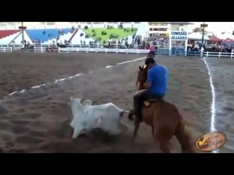 Sua Ingratidão video