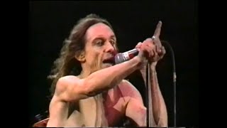 IGGY POP - Louie Louie (LIVE Feile festival 1993)