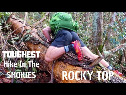 Conquering Rocky Top - Rated #1 Most Difficult Day Hike in the Smokies // Those Wild Days