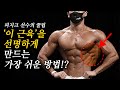 톱니같은 '전거근'을 만드는 가장 빠른 방법! (feat.대흉근/복근/광배근)
