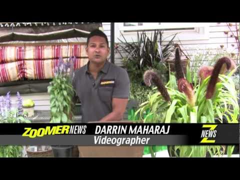 Znews - Gardening Trends