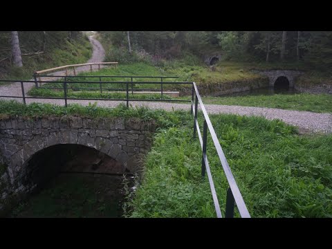 Harzwanderung: Harzer Wasserregal - Hutthaler Widerwaage - Hirschler Teich (Andi-TV 138)
