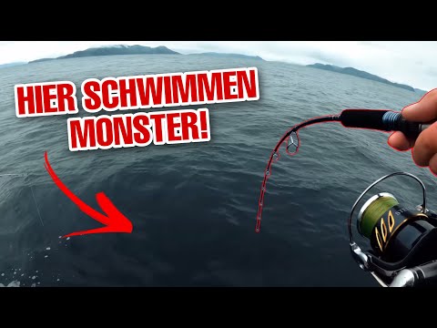 We catch 500kg of fish!!! Scandinavia Road Trip Part 3/6