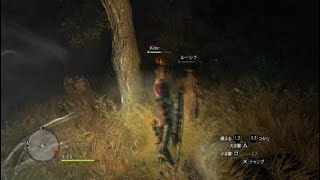 Dragon's Dogma: Dark Arisen_20171016135158