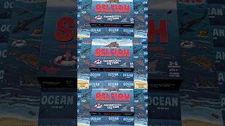 Selfish: Shipwrecked Edition #boardgame #boardgames #bgg #tabletop #cardgames