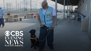 Prison inmates train service dogs, changing lives of people they've never met