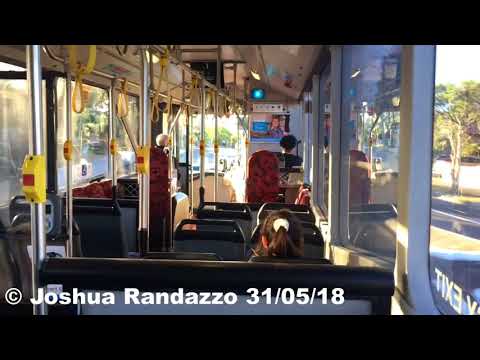 Sydney Buses m/o 1239 - Mercedes-Benz O 405NH CNG (Nice ZF)
