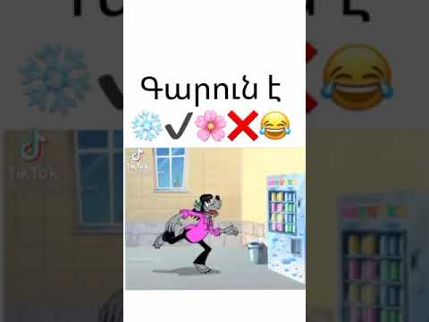 Tik Toki  Vidyoner 🙂