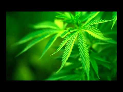 DJ B Ryan - The Thanksgiving Leftovers 2015 ( Marijuana CUT )