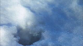 'Frozen Oceans' by John Kerr