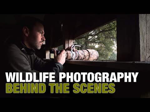 Wildlife Photography BEHIND THE SCENES